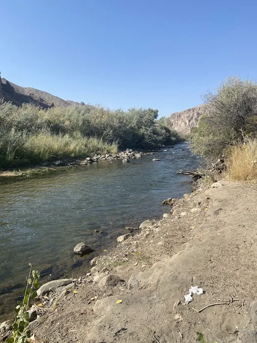 Desert Creek Campground Picture 8