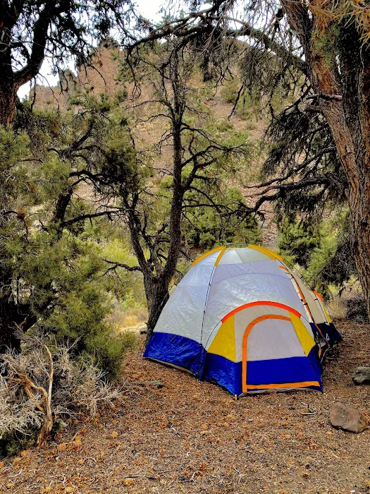 Desert Creek Campground Picture 6