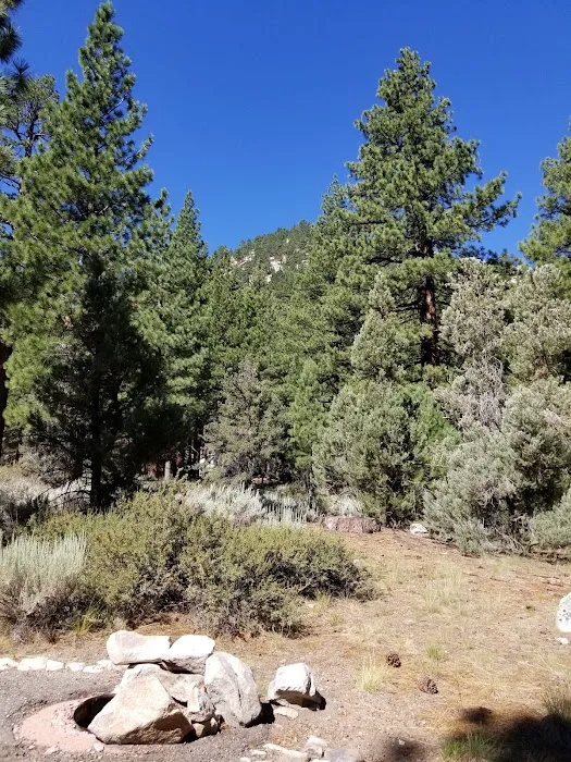 Bootleg Campground Picture 9
