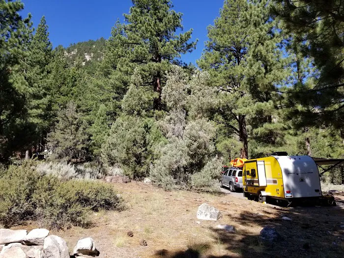 Bootleg Campground Picture 7