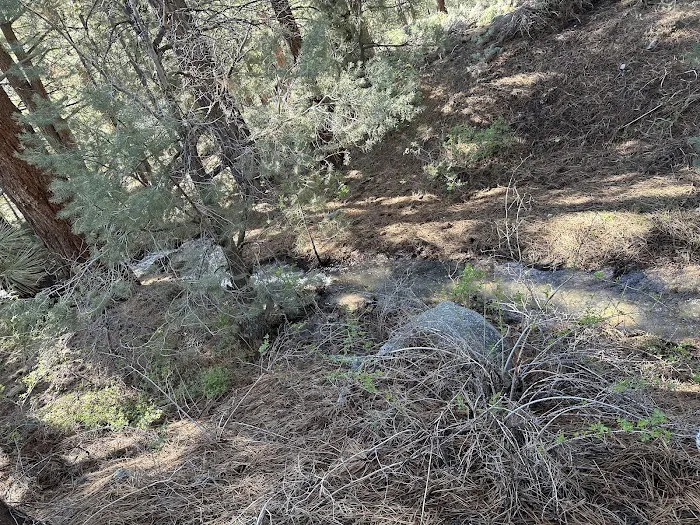 Bootleg Campground Picture 3