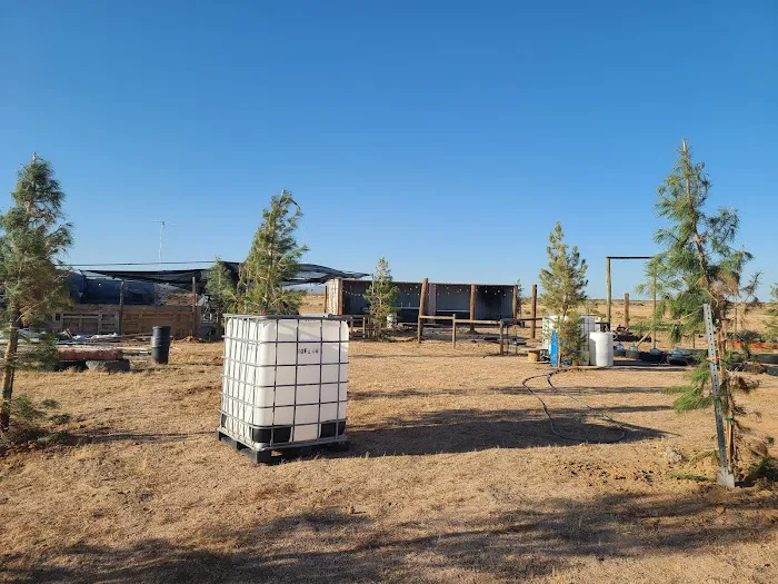 Fluffys Ranch Picture 7
