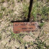 Mormon Campground ico