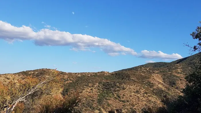 Aliso Park Campground Picture 3
