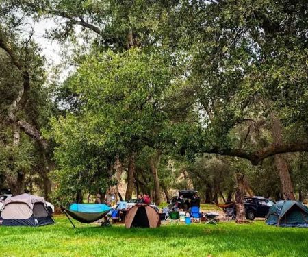 Aliso Park Campground