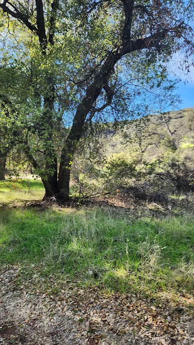 Aliso Park Campground Picture 10