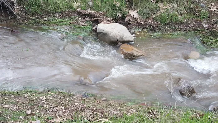 Aliso Park Campground Picture 5