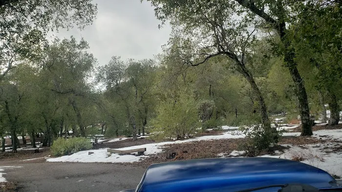 Figueroa Campground Picture 5