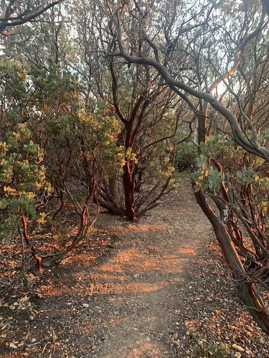 Figueroa Campground Picture 9