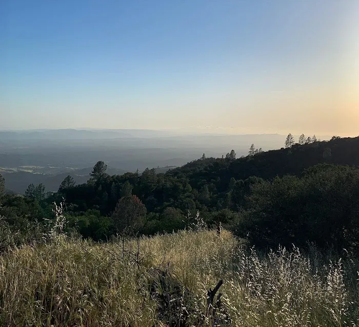 Figueroa Campground Picture 3