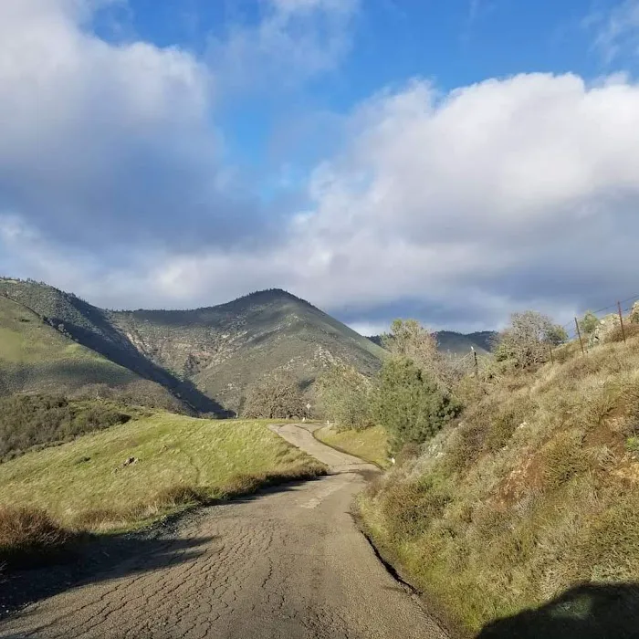 Figueroa Campground Picture 2