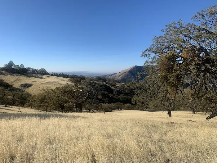 Upper Ballard Campground Picture 1
