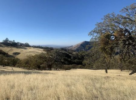 Upper Ballard Campground