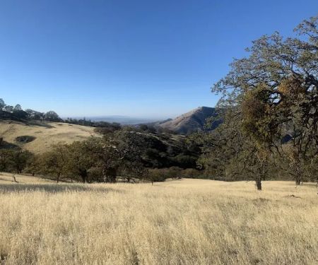 Upper Ballard Campground