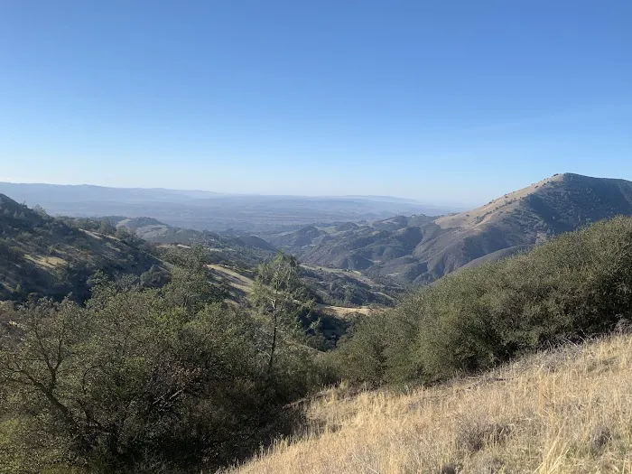 Upper Ballard Campground Picture 2