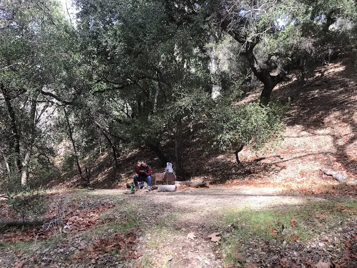 Upper Ballard Campground Picture 4