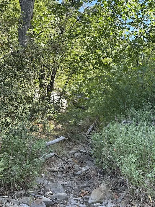 Docs Spring Campground Picture 2