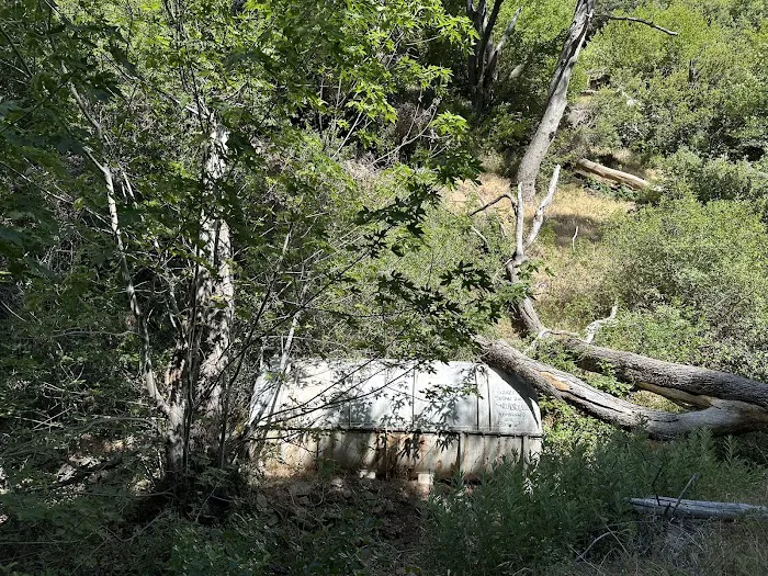 Docs Spring Campground Picture 4