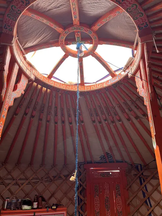 Mongolian camp Picture 4