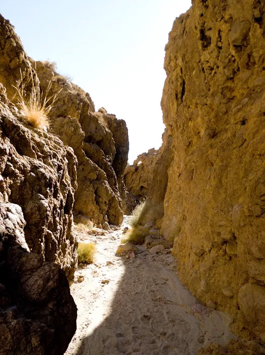 Owl Canyon Campground Picture 5