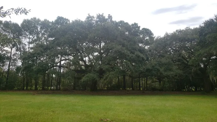 WMA Pearl River WMA Camp Grounds Picture 7