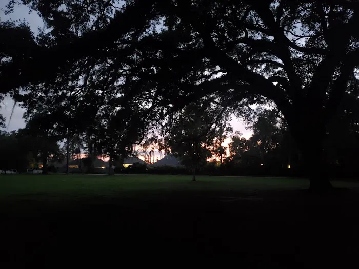 WMA Pearl River WMA Camp Grounds Picture 6