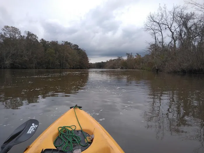 WMA Pearl River WMA Camp Grounds Picture 2