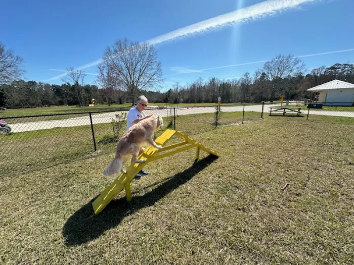 Slidell KOA Journey Picture 5