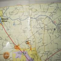 Forestry Department ico