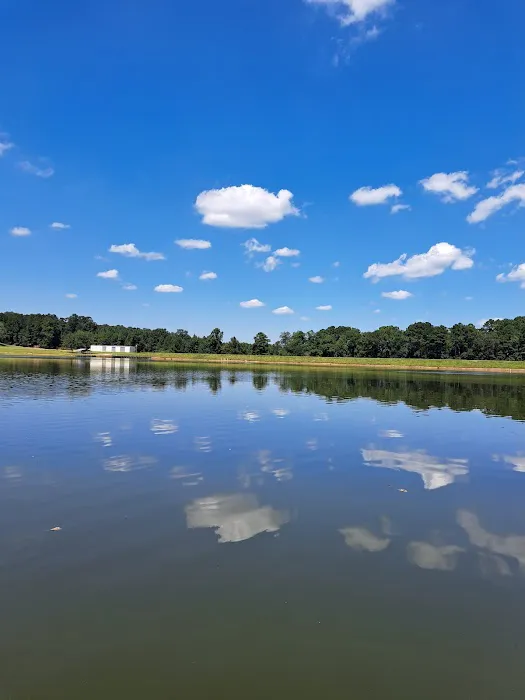 Prentiss Walker Lake Picture 2