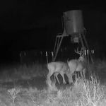 Scaria Ranch