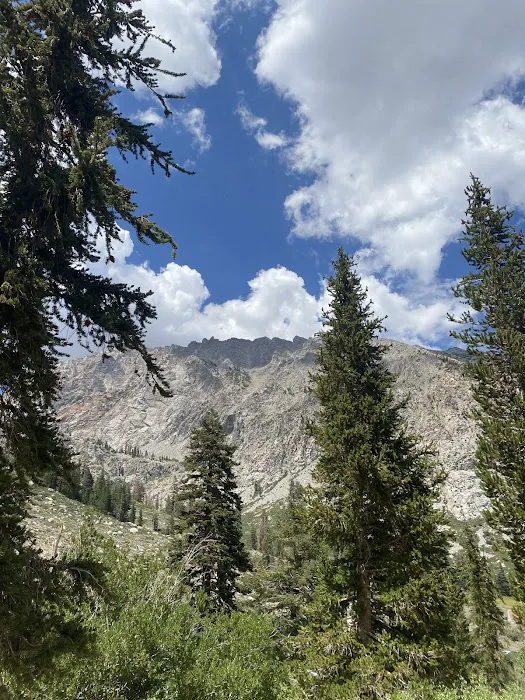 Onion Valley Campground Picture 8