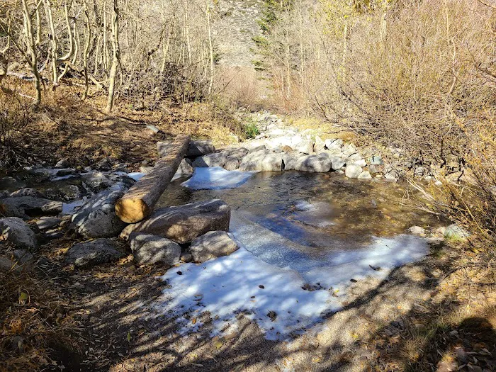 Onion Valley Campground Picture 1