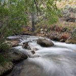 Grays Meadows Campground