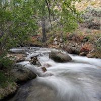 Grays Meadows Campground ico