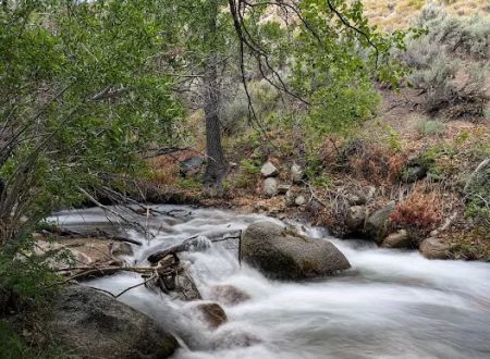 Grays Meadows Campground