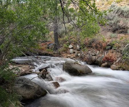 Grays Meadows Campground