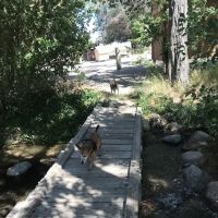 Independence Creek Campground ico