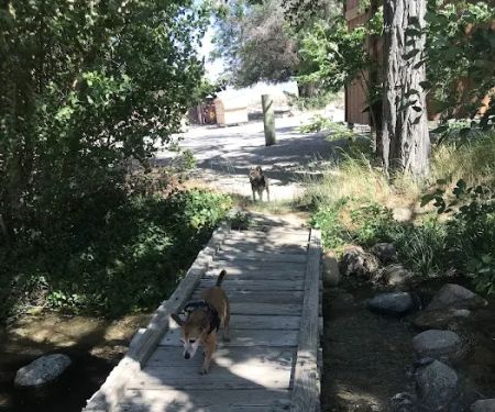 Independence Creek Campground