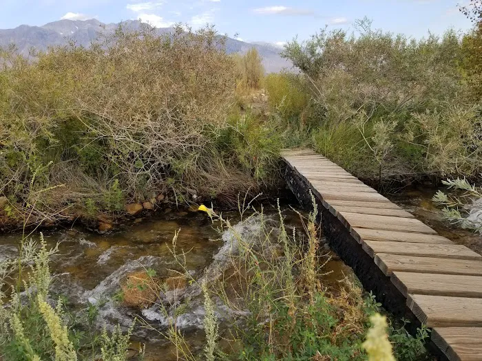 Independence Creek Campground Picture 6