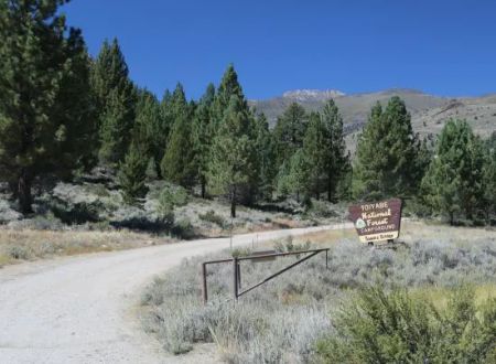 Sonora Bridge Campground