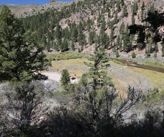 Sonora Bridge Campground Picture 4