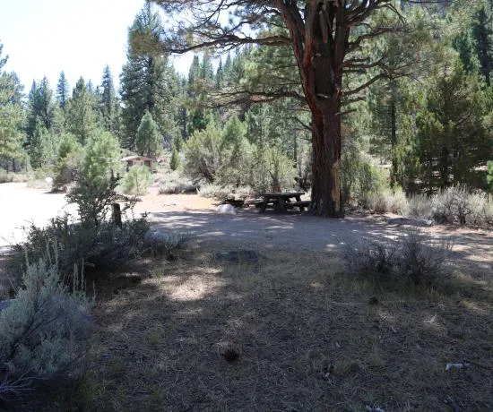 Sonora Bridge Campground Picture 2