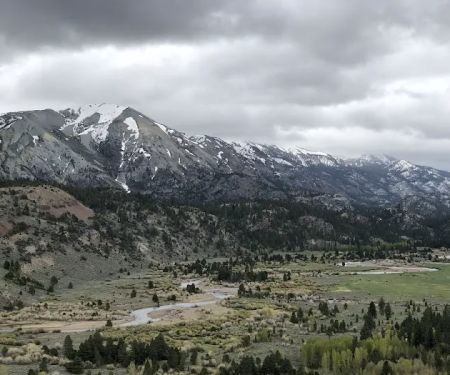 Leavitt Meadows Trailhead and Campground