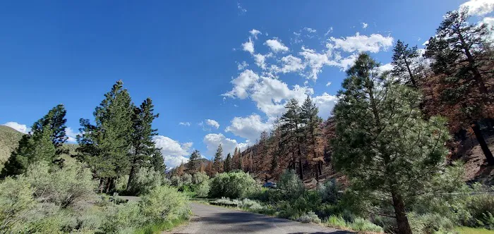 Chris Flat Campground Picture 6