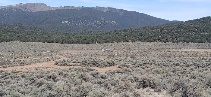 Rye Grass Springs Picture 2