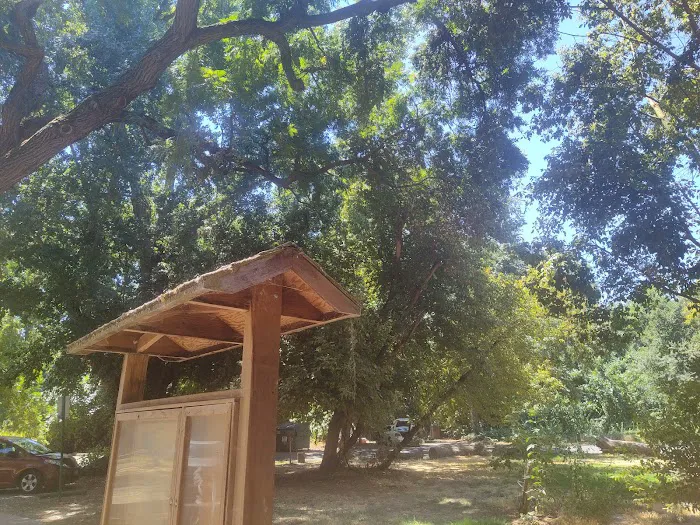Caswell Memorial State Park Campground Picture 9