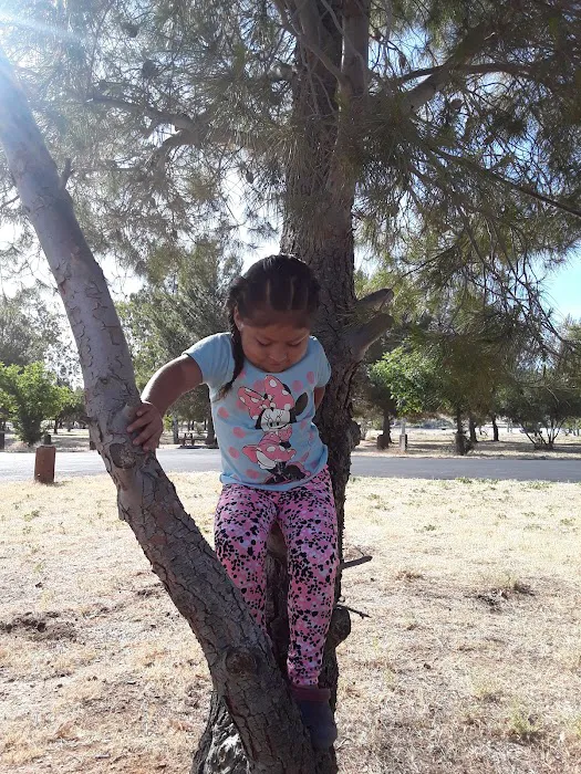San Luis Creek RV Campsite Picture 7