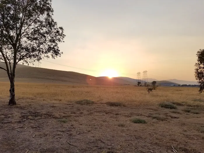 San Luis Creek RV Campsite Picture 10