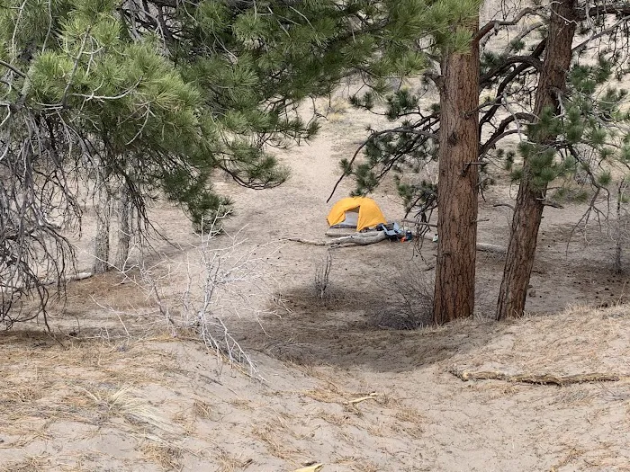 Indian Grove Picture 5